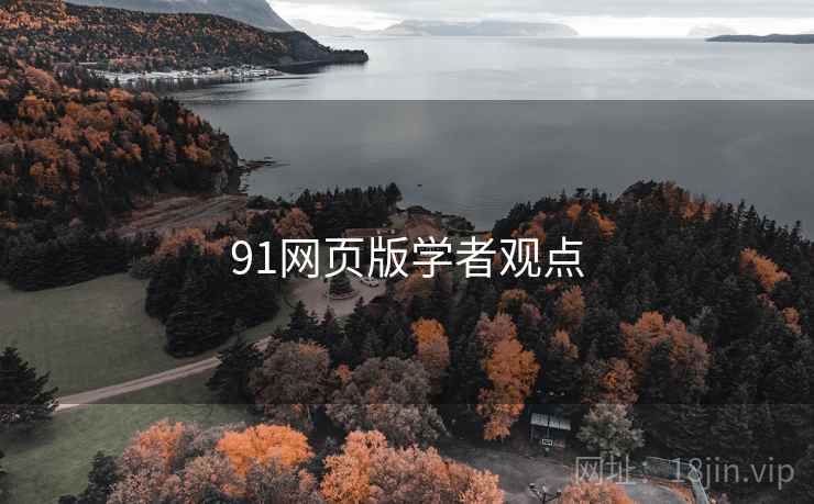 91网页版学者观点