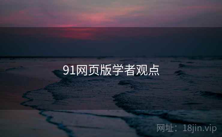 91网页版学者观点