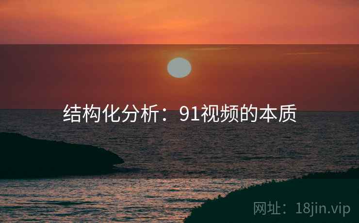 结构化分析：91视频的本质