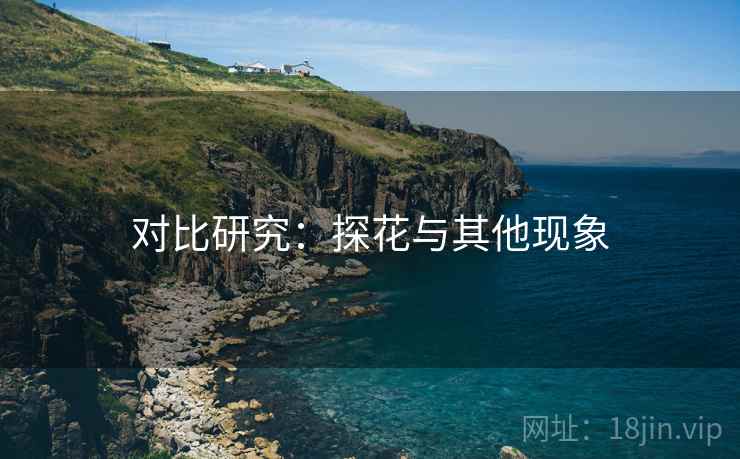 对比研究：探花与其他现象