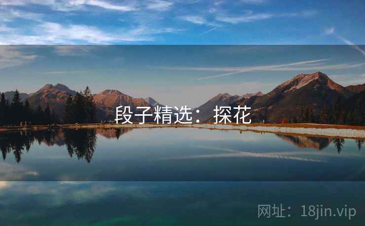段子精选：探花