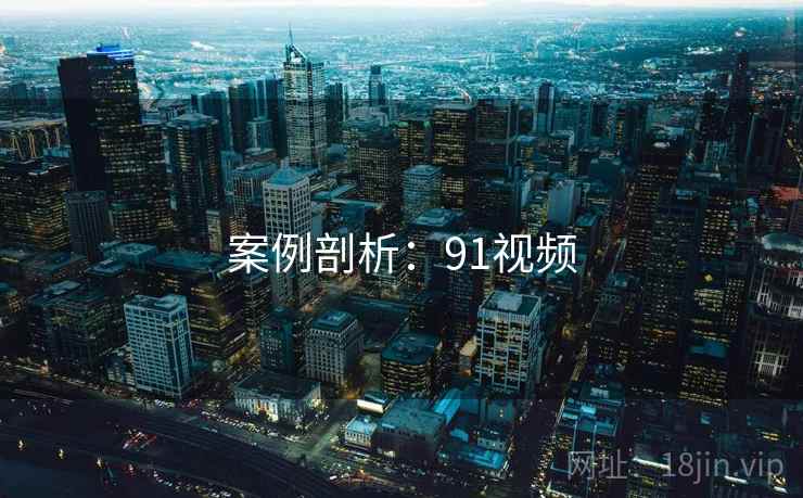 案例剖析：91视频