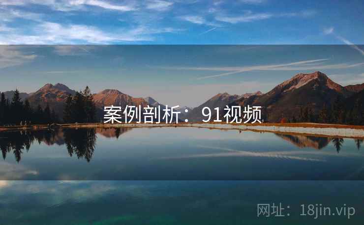 案例剖析：91视频