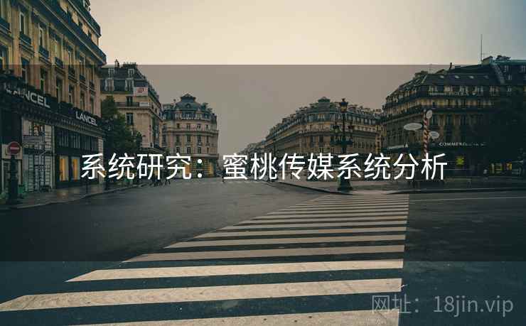 系统研究：蜜桃传媒系统分析