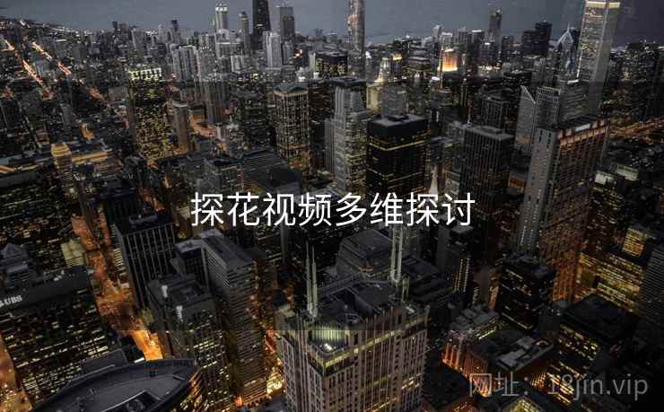 探花视频多维探讨