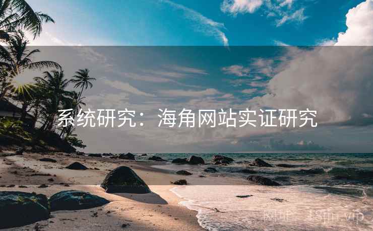 系统研究：海角网站实证研究