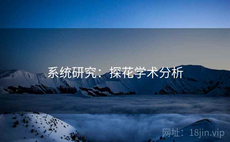 系统研究：探花学术分析