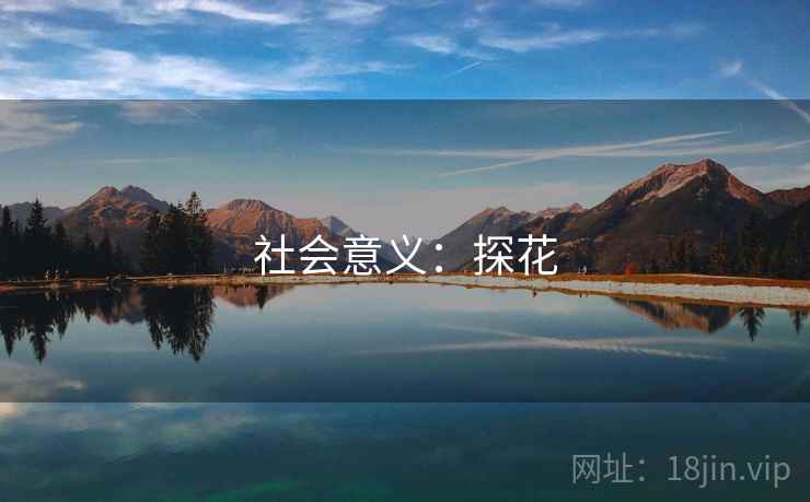 社会意义：探花