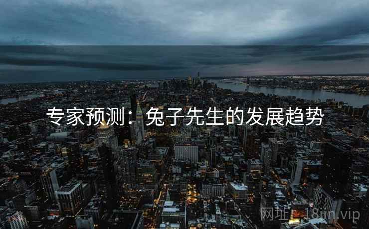 专家预测：兔子先生的发展趋势