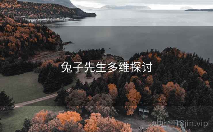 兔子先生多维探讨