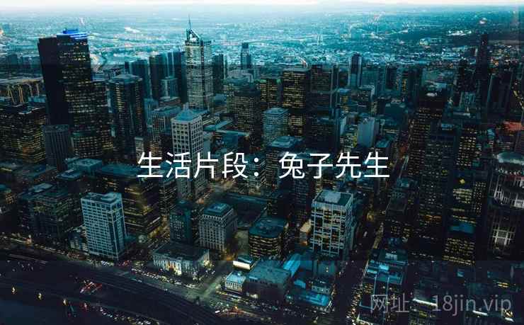 生活片段：兔子先生