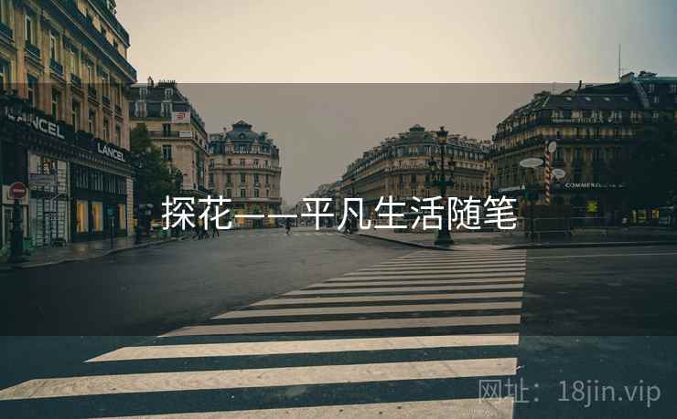 探花——平凡生活随笔