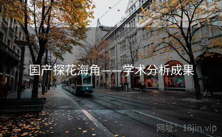 国产探花海角——学术分析成果