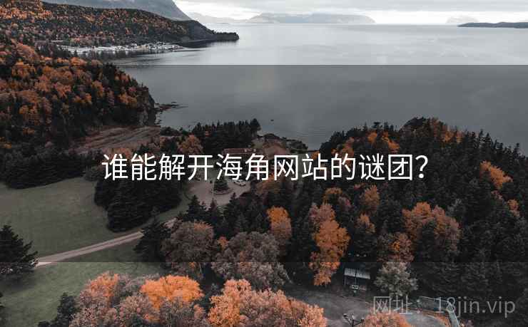 谁能解开海角网站的谜团？