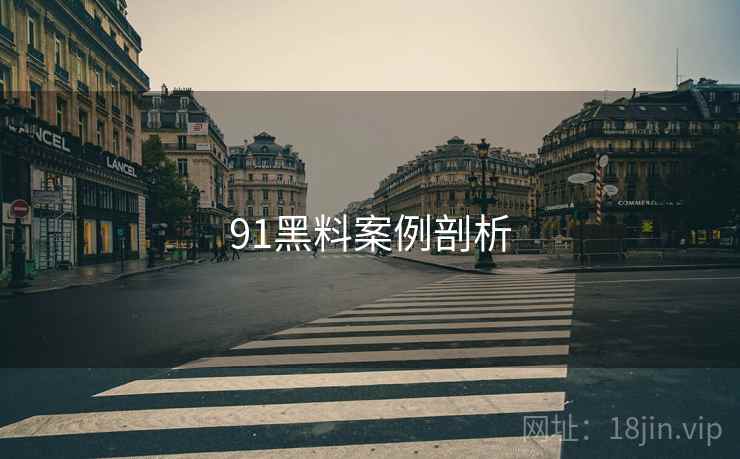 91黑料案例剖析