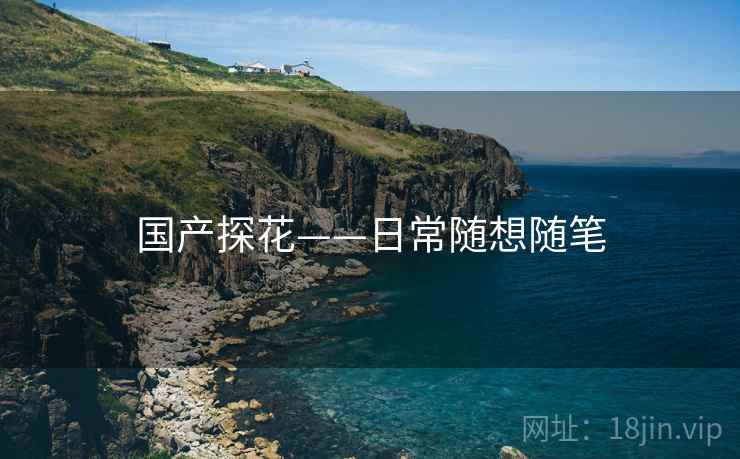 国产探花——日常随想随笔 国产探花——日常随想随笔