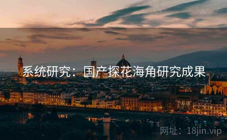 系统研究：国产探花海角研究成果