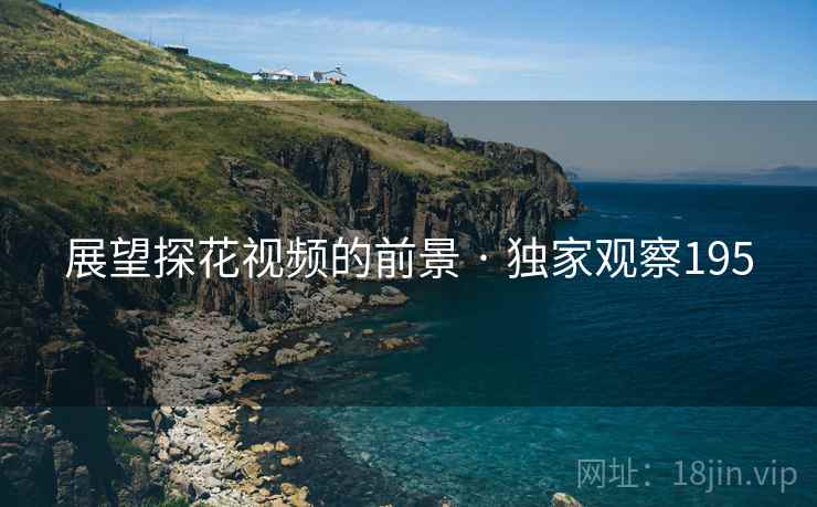 展望探花视频的前景 · 独家观察195