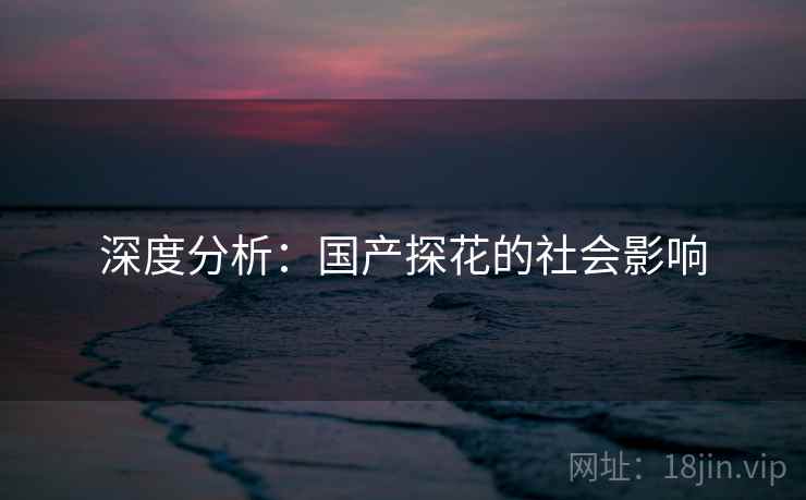 深度分析:国产探花的社会影响 深度分析:国产探花的社会影响