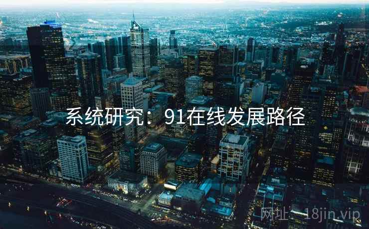 系统研究：91在线发展路径