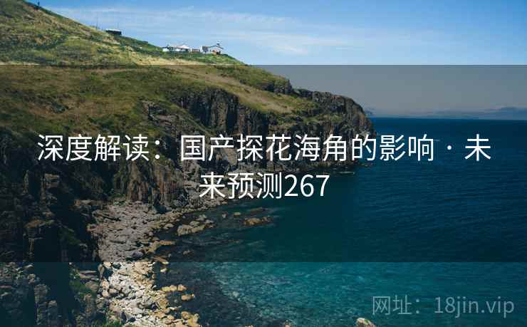 深度解读:国产探花海角的影响 · 未来预测267