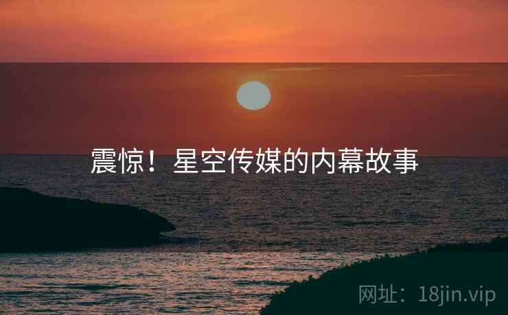 震惊!星空传媒的内幕故事