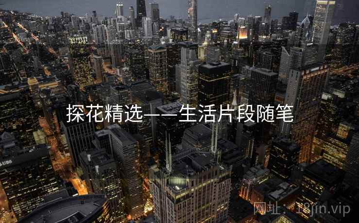 探花精选——生活片段随笔