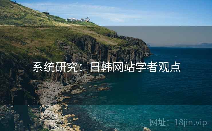 系统研究:日韩网站学者观点
