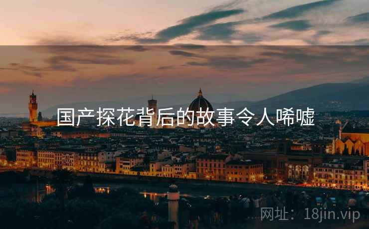 国产探花背后的故事令人唏嘘 国产探花背后的故事令人唏嘘