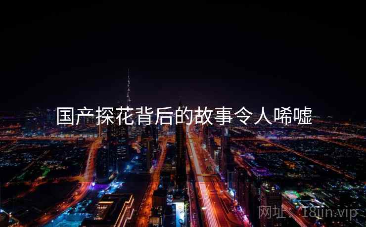 国产探花背后的故事令人唏嘘