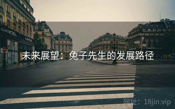 未来展望:兔子先生的发展路径 未来展望:兔子先生的发展路径