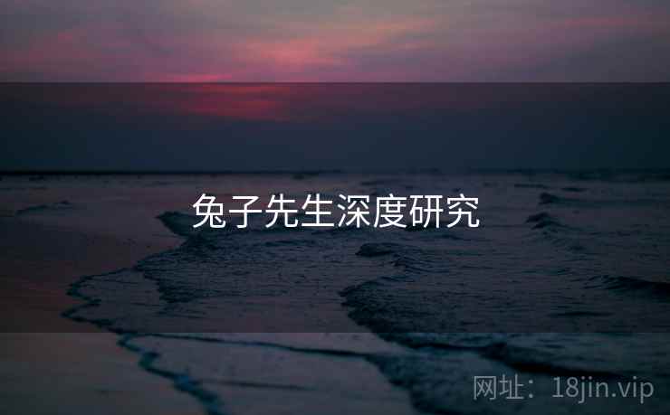 兔子先生深度研究 兔子先生深度研究