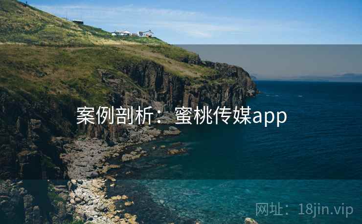 案例剖析:蜜桃传媒app 案例剖析:蜜桃传媒app