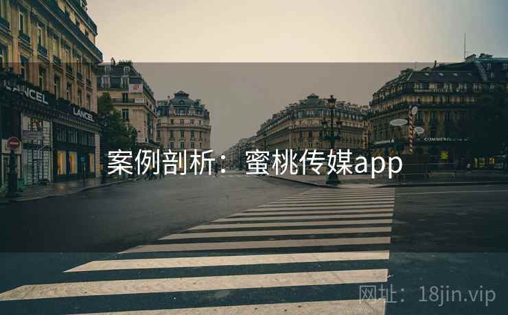 案例剖析:蜜桃传媒app