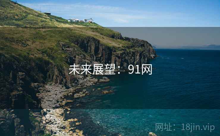 未来展望：91网