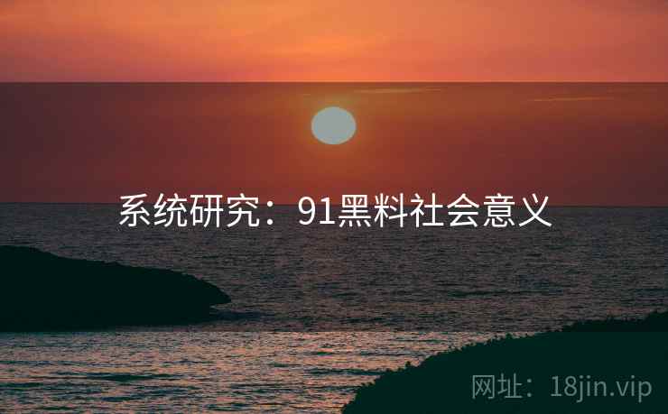 系统研究：91黑料社会意义