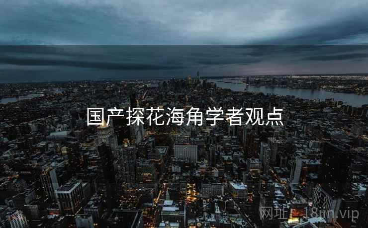 国产探花海角学者观点