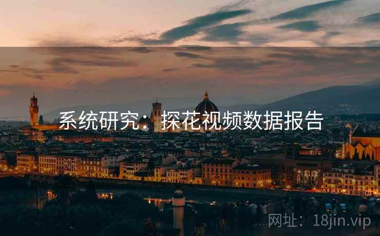 系统研究:探花视频数据报告