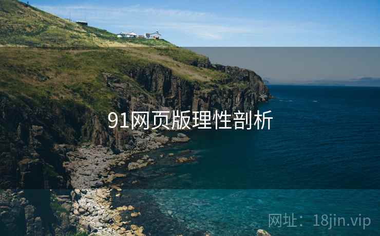 91网页版理性剖析
